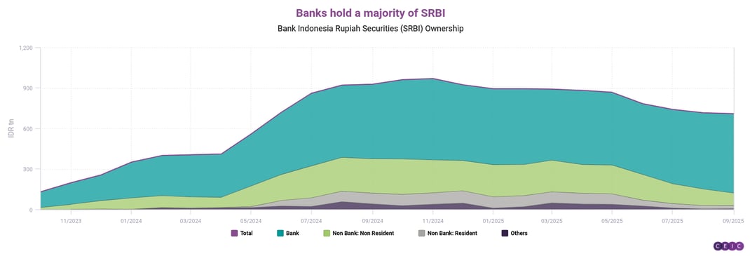 Banks hold a majority of SRBI