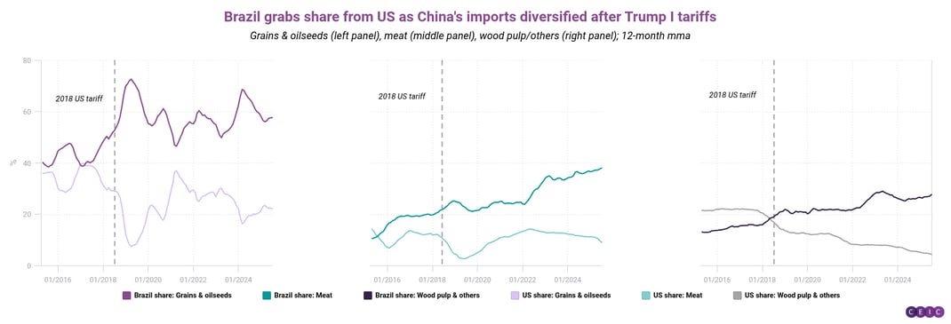 Brazil grabs share from US as Chinas imports diversified after Trump I tariffs
