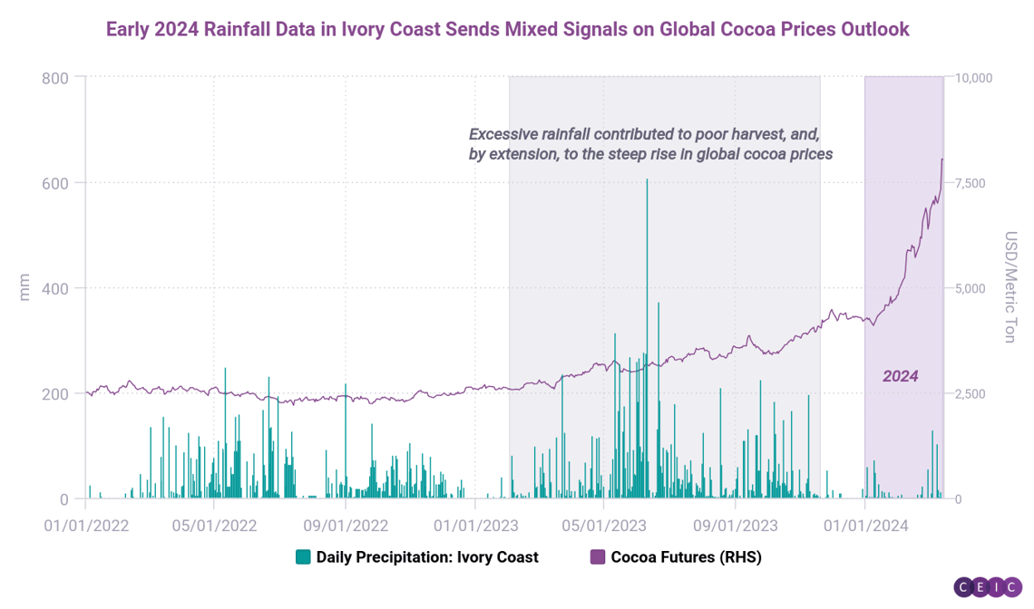 Early 2024 Rainfall Data in Ivory Coast Sends Mixed Signals on Global Cocoa Prices Outlook (2)