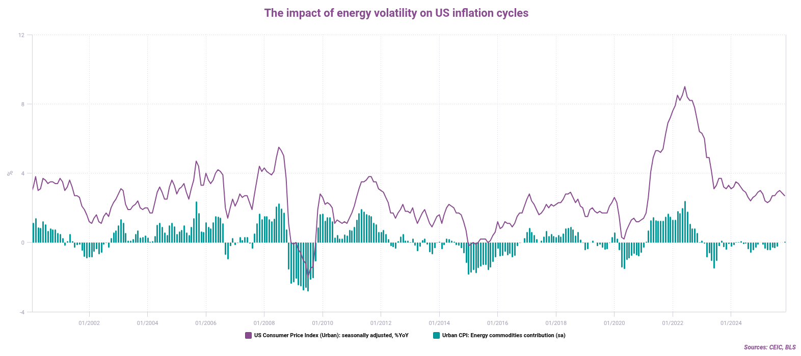 The impact of energy volatility on US inflation cycles