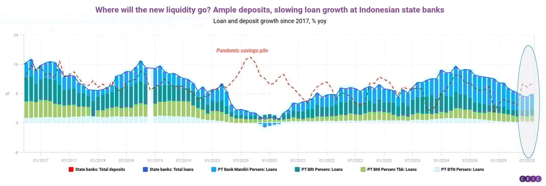 Where will the new liquidity go Ample deposits slowing loan growth at Indonesian state banks (1)
